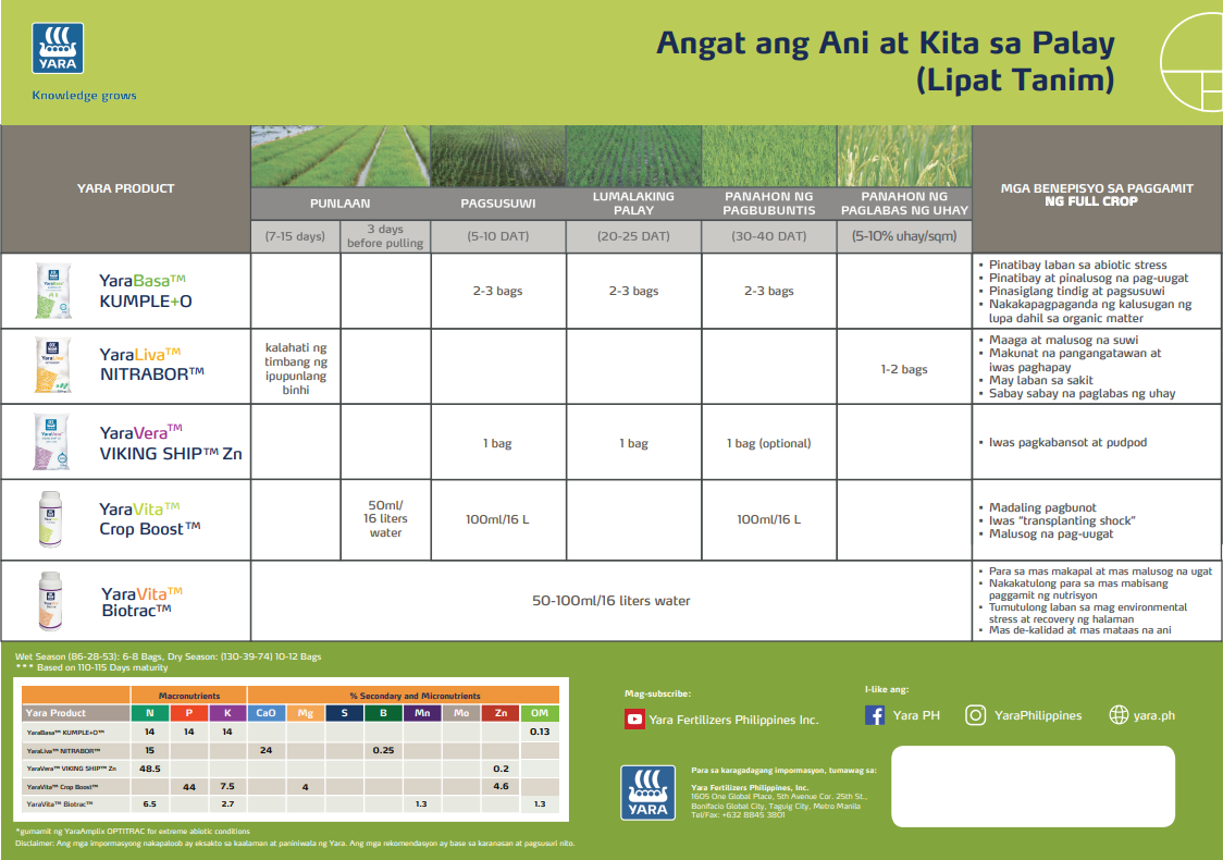 Rice chart