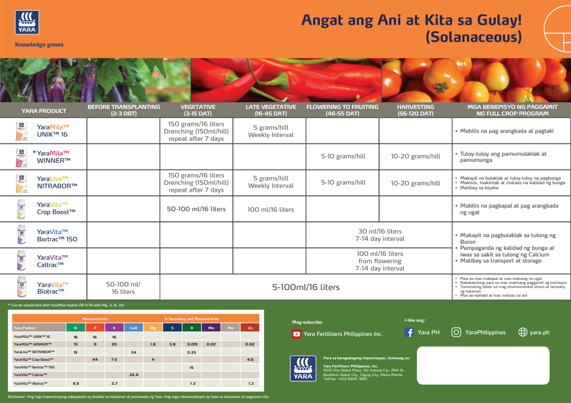 Tomato chart