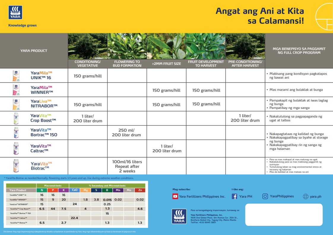 Calamansi chart