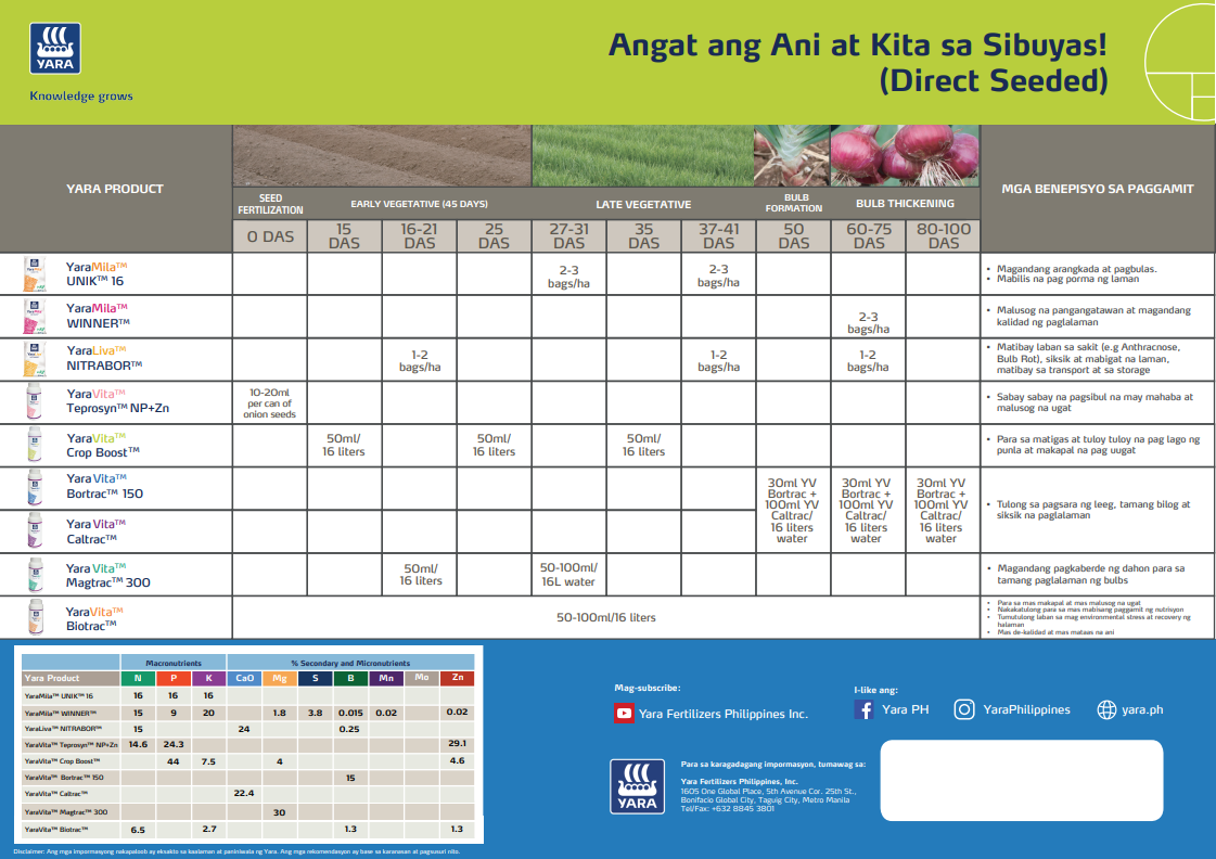 Onion fertiliser programme