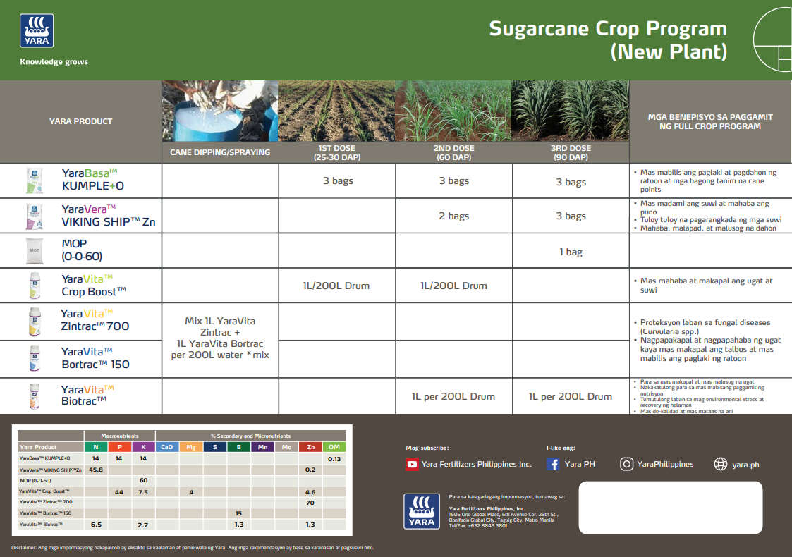 Sugarcane chart