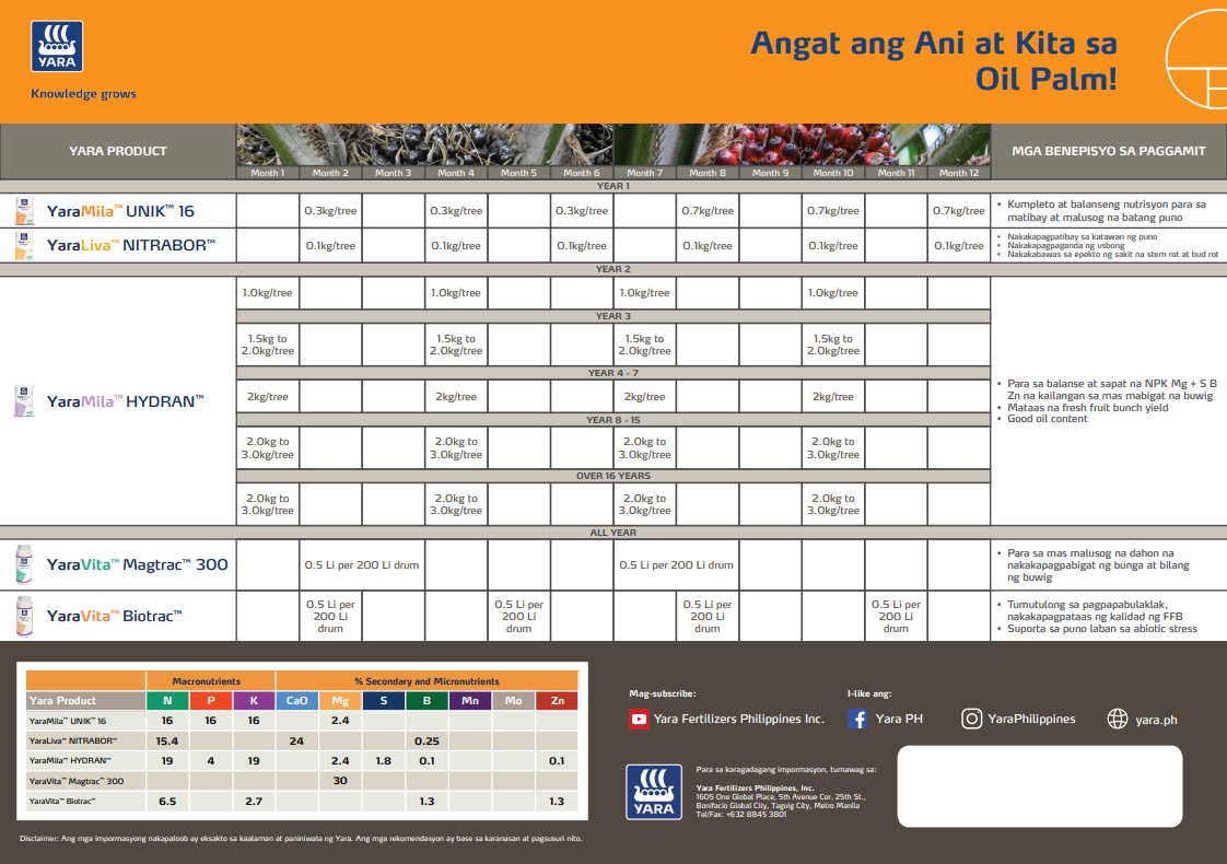 Oil palm chart