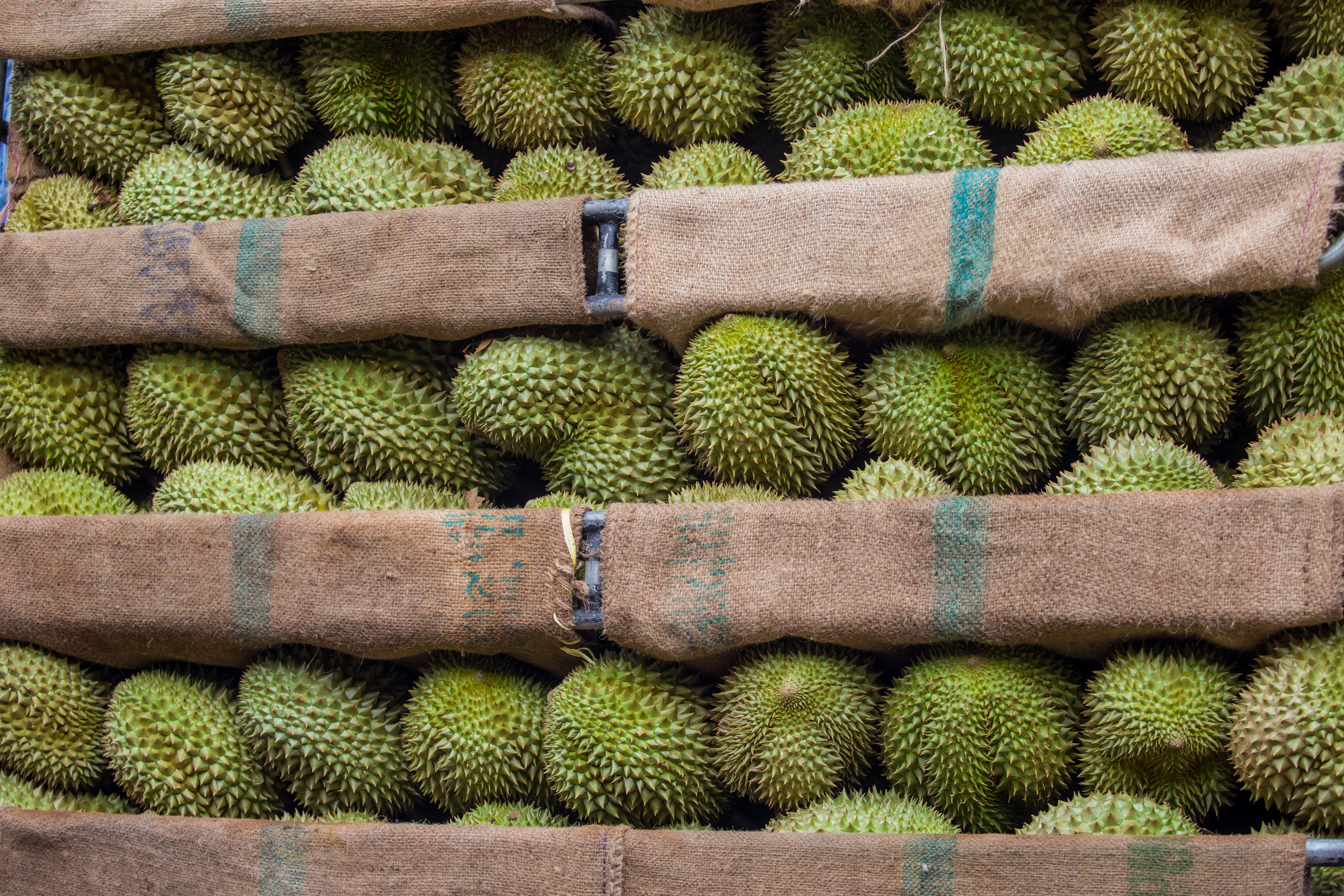 Durian