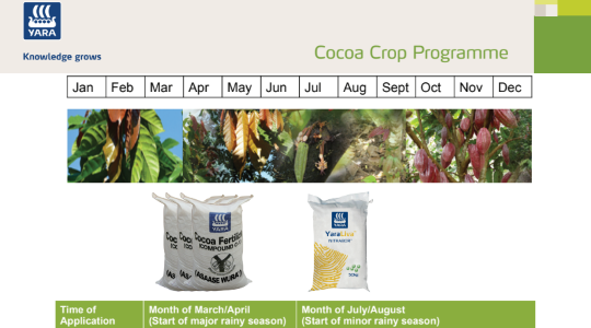Cacao Fertilizer Program